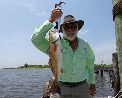 Redfish.jpg
