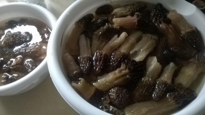 WP_20160430_003.jpg