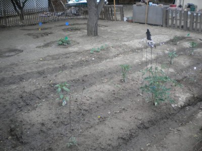 DSCN5306.JPG