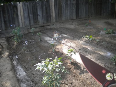 DSCN5456.JPG