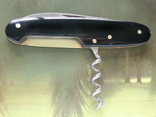 Horseshoe1.jpg