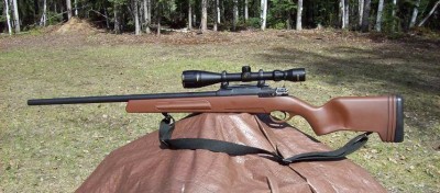 PH target 2.jpg
