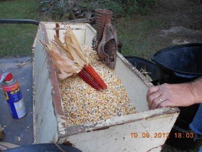 Red ears of corn