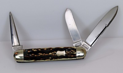 Graef &amp; Schmidt Welkut Cattle