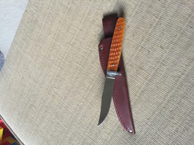 image.jpeg