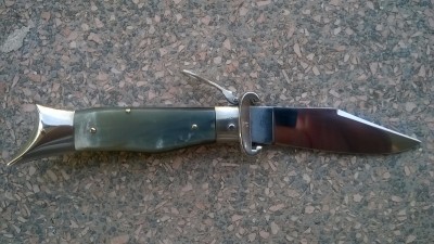WP_20160522_002.jpg