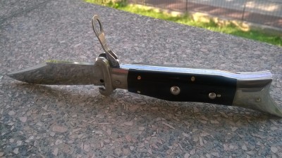 WP_20160522_003.jpg