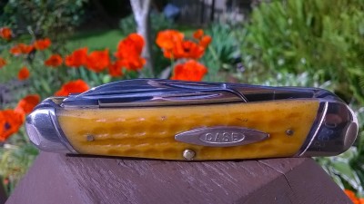 WP_20160601_08_48_11_Pro.jpg