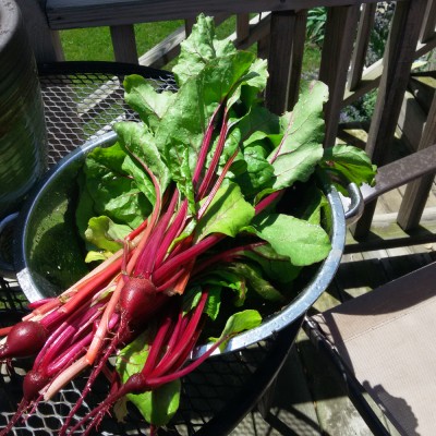 20160606_115858.jpg