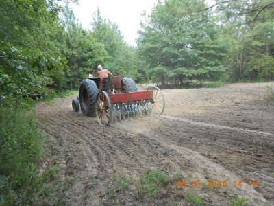 Planting