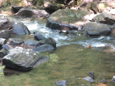 IMG_3255.JPG