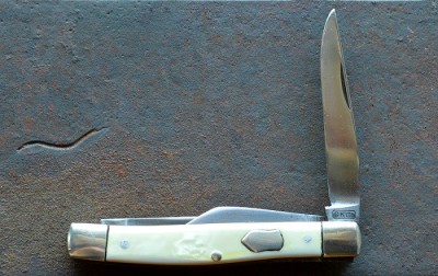 Colonial white CKCO 2 X.jpg