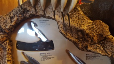 20160706_101401.jpg