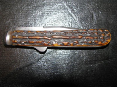 Stag0026.jpg