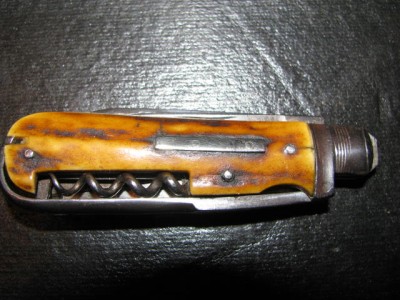 Stag0030.jpg