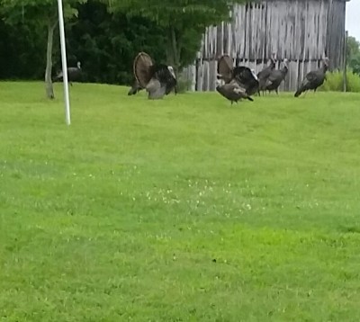 20160714_174046-1.jpg