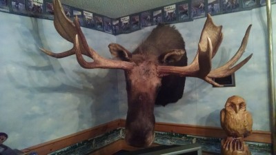 IMG_20160716_193959774.jpg