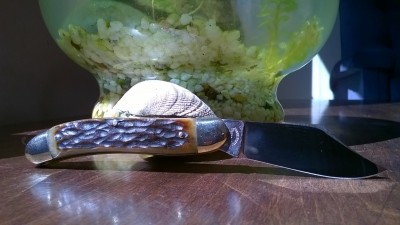 WP_20160720_11_28_19_Pro.jpg