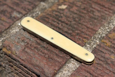 ivory