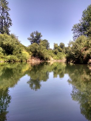 Fishing the Yamhill 7-14-16.jpg