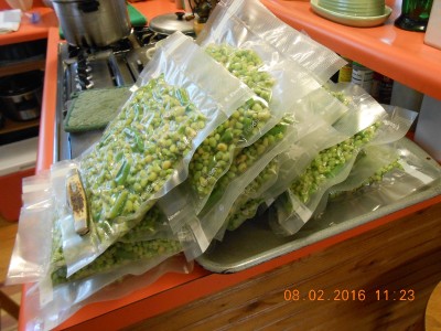 2016-08-02 001 002.JPG