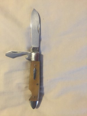 image.jpeg