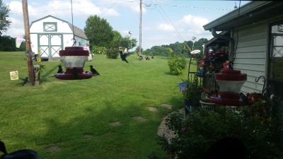 20160807_163258.jpg