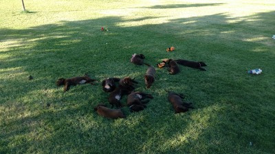 IMG_20160806_192814589.jpg