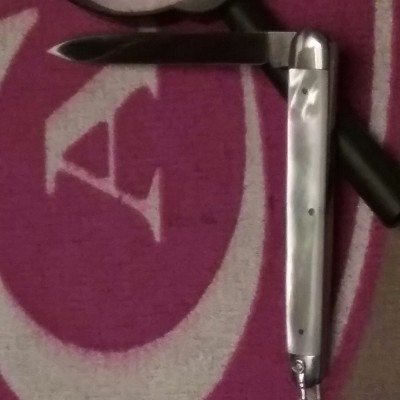Bruck 2blade mop