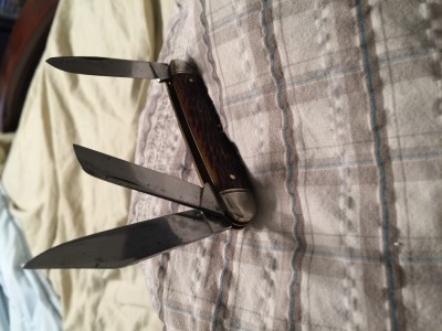 image.jpeg