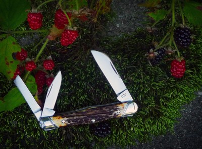 2016-tuna-valley-carpenter-whittler-burnt-stag.jpg