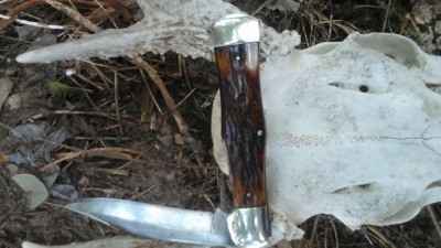 20160827_133243.jpg