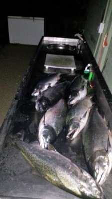 8022015 DAX.JPG