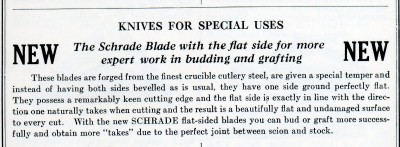 Schrades new flat blds387.jpg