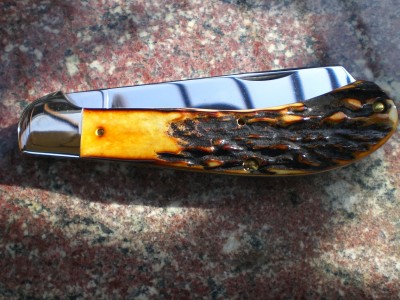 Stag Saddle Horn (3).JPG