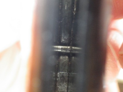RIMG1315.JPG
