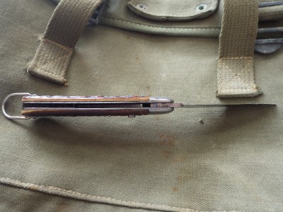 RIMG1307.JPG