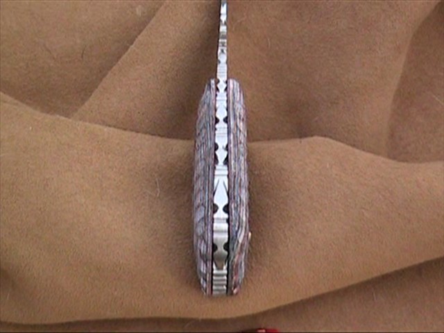 z201.jpg