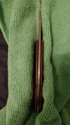 IMG_20160819_090759736.jpg