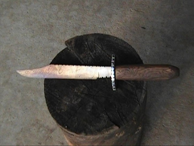f3_0001.jpg