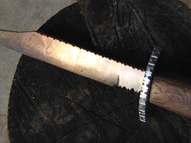 f2_0001.jpg