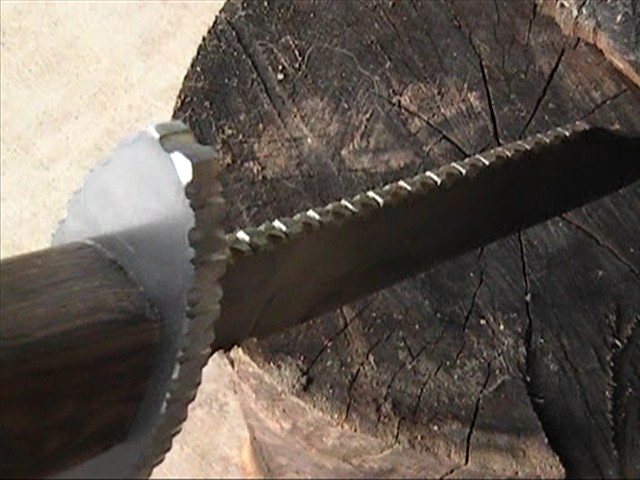 f5_0001.jpg