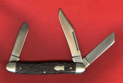 879002 (Medium).jpg