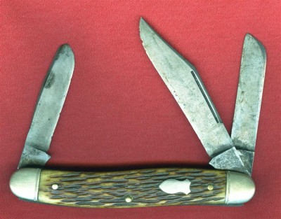 879 bone 2001 (Medium).jpg