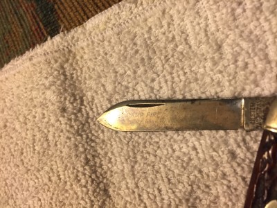 image.jpeg
