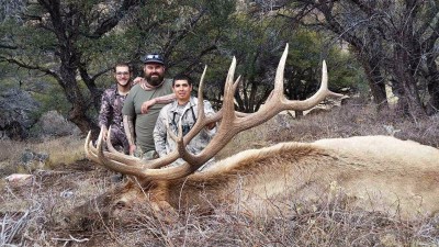 Elk Hunt Jarbridge_Nevada.jpg