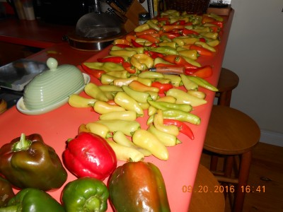 2016-09-20 001 016.JPG