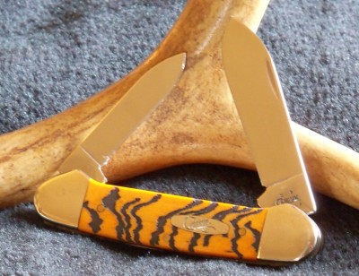 Tiger Stripe.JPG