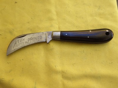 RIMG0694.JPG