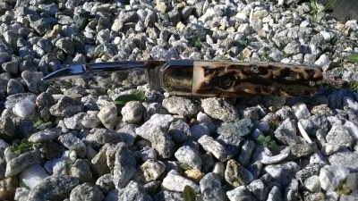 WP_20160927_16_21_46_Pro.jpg